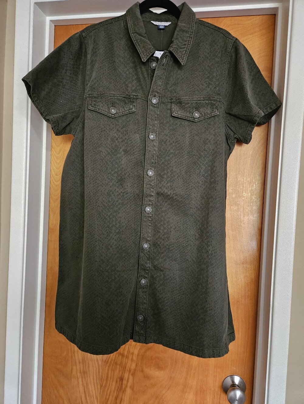 NWT American Eagle Denim Shirt Mini Dress- Olive Green Snakeskin Print - Size XL